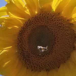 Meet your Posher, Tati